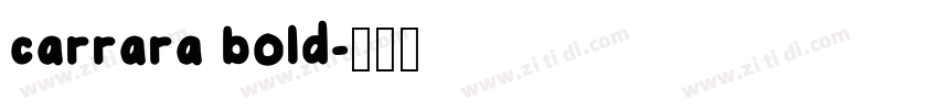 carrara bold字体转换